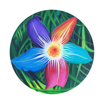 Rainbow Lily