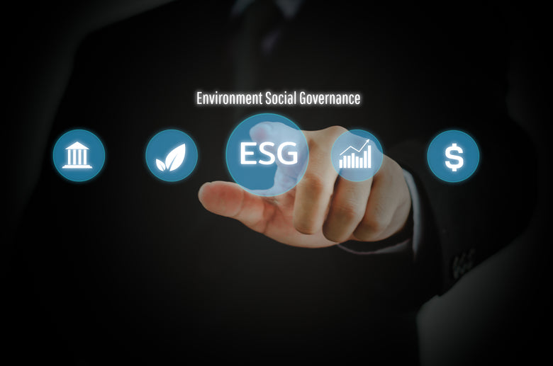 Environmental, Social, & Governance (ESG)- Why Supporting Local Artists is Good Business