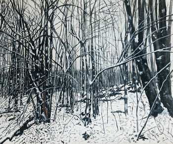 Spring Snowstorm