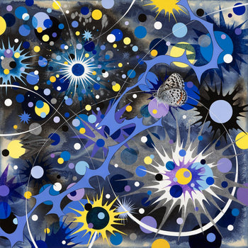 In Starlight, (Bauer's dotted-blue butterfly)