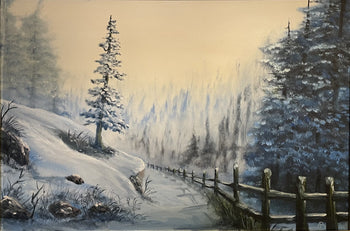 Winter country road