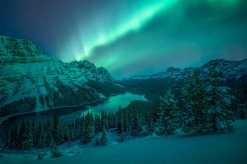 Aurora Over Peyto Lake