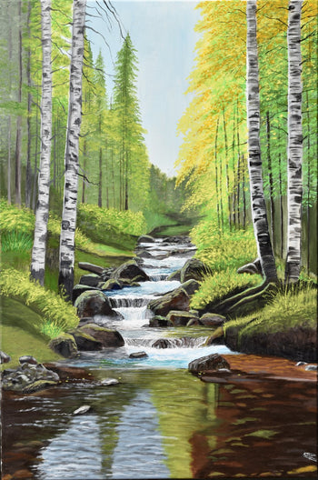 Where the Forest Flows