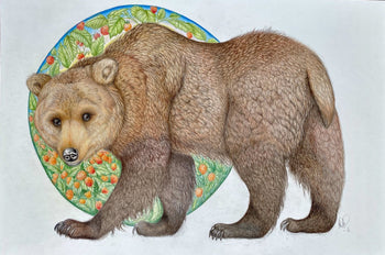 Grizzly with salmonberries (Ursus arctos horribilis)