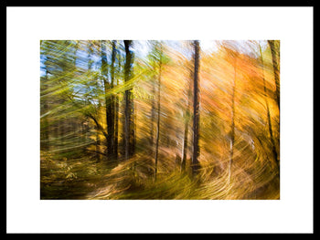 Jacquelyn Sloane Siklos