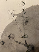 Season of waiting-10