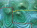 TERRITORIAL BRAND-10