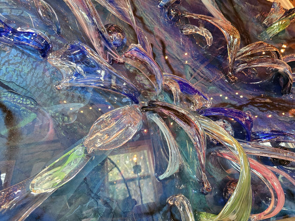 Pelagic Constillation