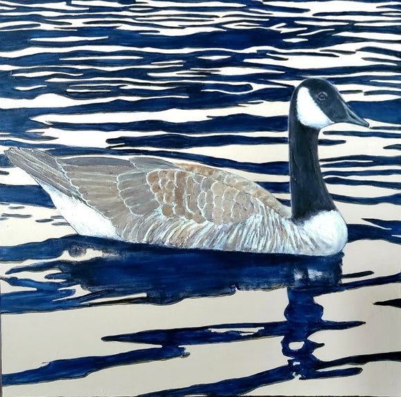 Reflections