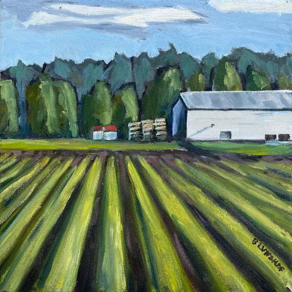 Summer in the Marsh