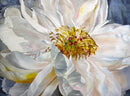 Shades of White-1