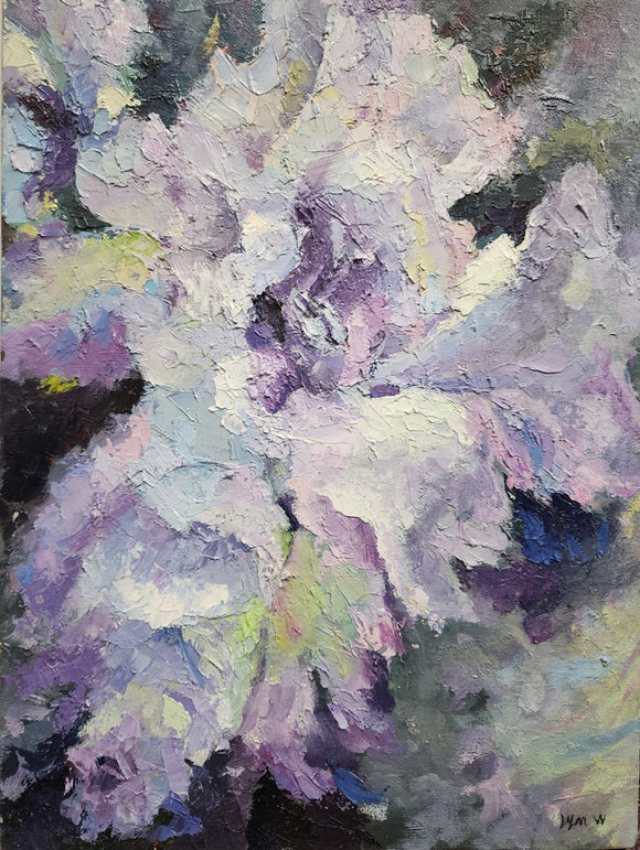 Iris