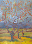 Vineyard-1