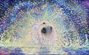 Arctic Shake-1
