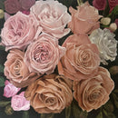 Ring Around the Rosies-1