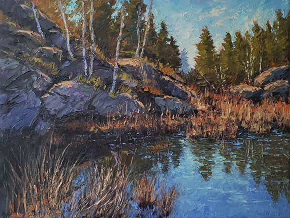 Marsh at Six Mile