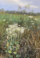Indian Plantain-1
