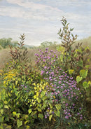 Wild Grape and Asters-1