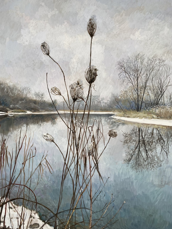 Wild Carrot in Winter