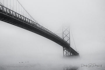 Ambassador Bridge in fog with geese