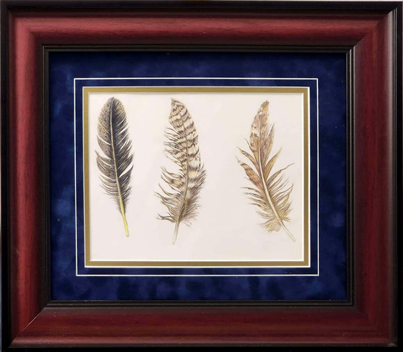 Feathers 🪶