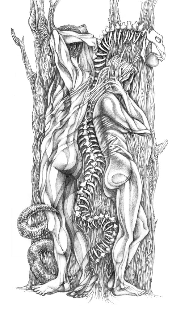 Never Met (Adam and Eve)