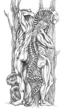 Never Met (Adam and Eve)-1