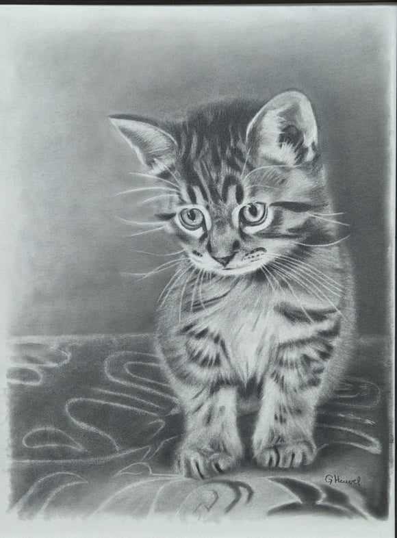 Tyger