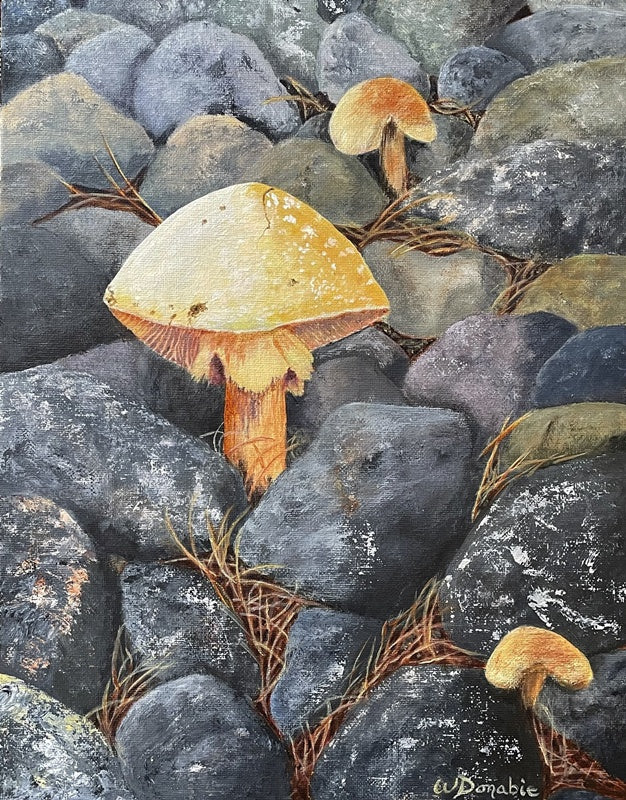 'Shrooms on the Rocks