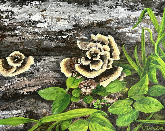 Woodland Blossoms