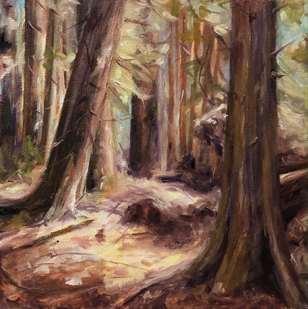 Forest Floor