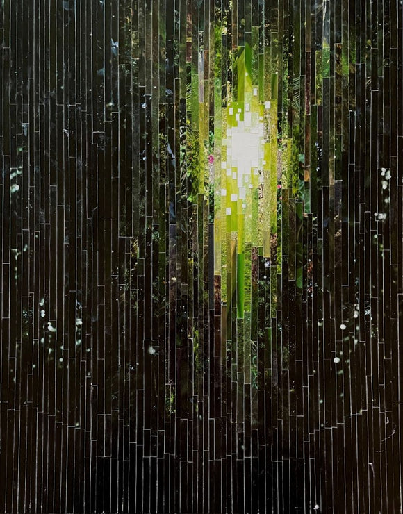 Into the Forest, out of the Woods