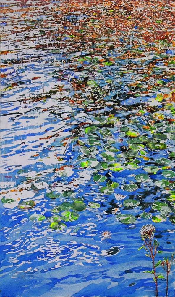 summer water dazzle with lilies 5