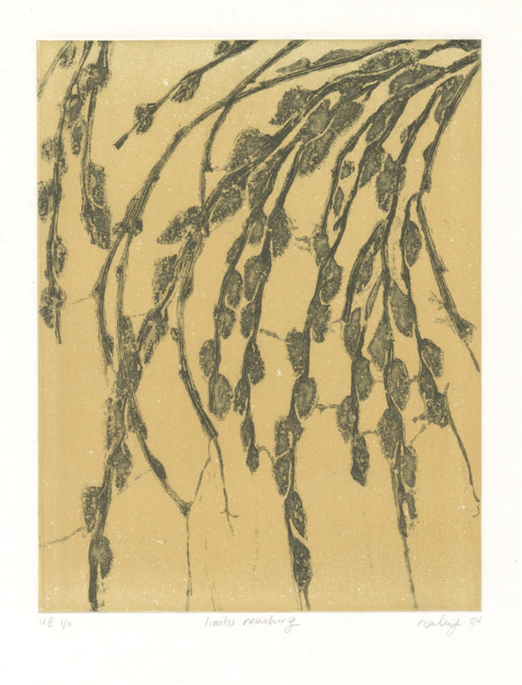 Limbs Reaching