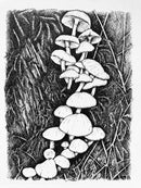 Life from decay-1