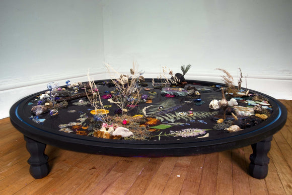 I SPY,  Terraforming (2024)