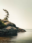 Wall Island II-1