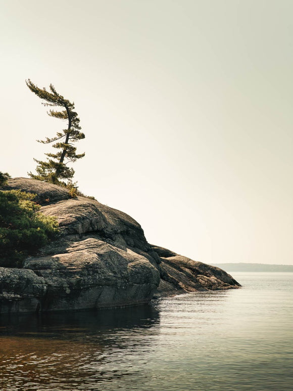 Wall Island II
