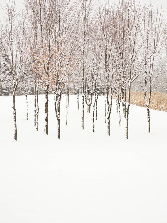 Treescape