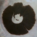 Spore #1-1