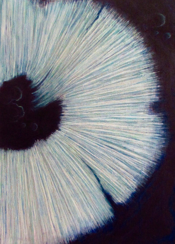 Spore #2