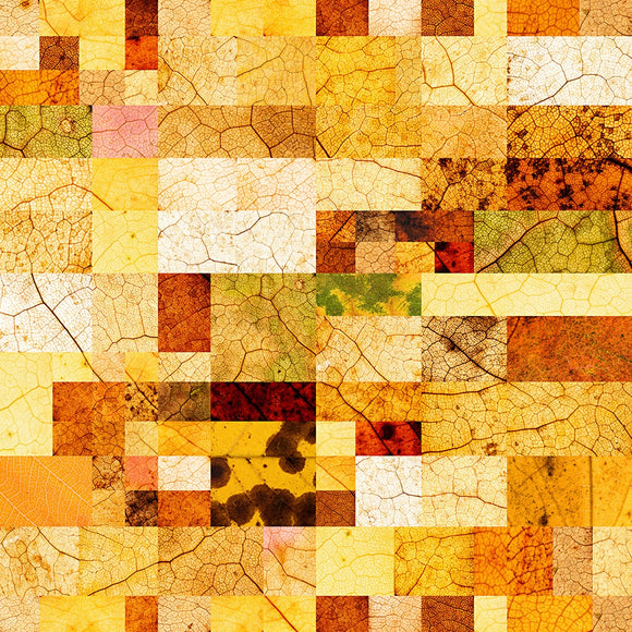 Autumn’s Geometric Metamorphosis