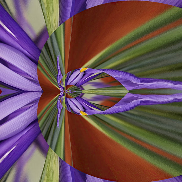 Iris on the Side