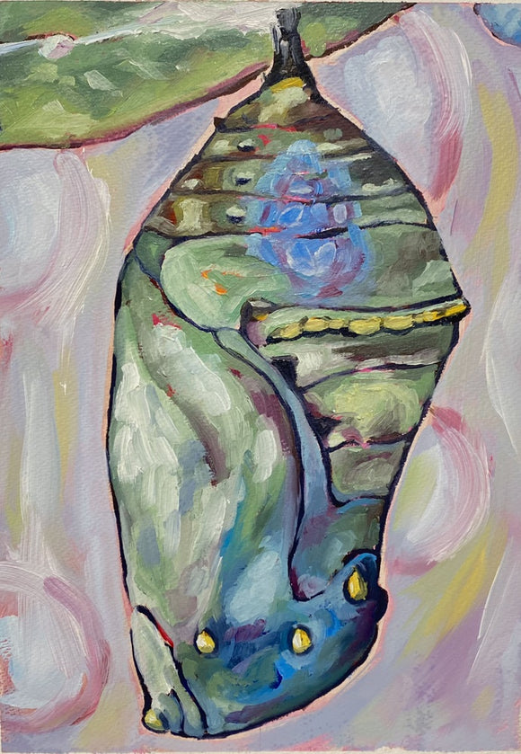 Chrysalis