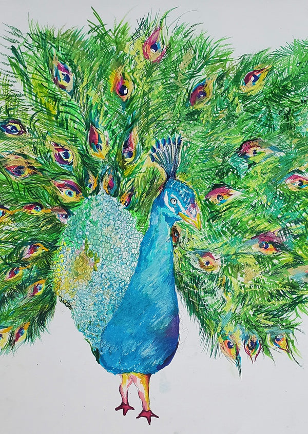 Peacock