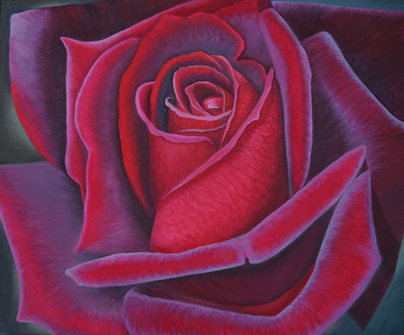 Red Rose