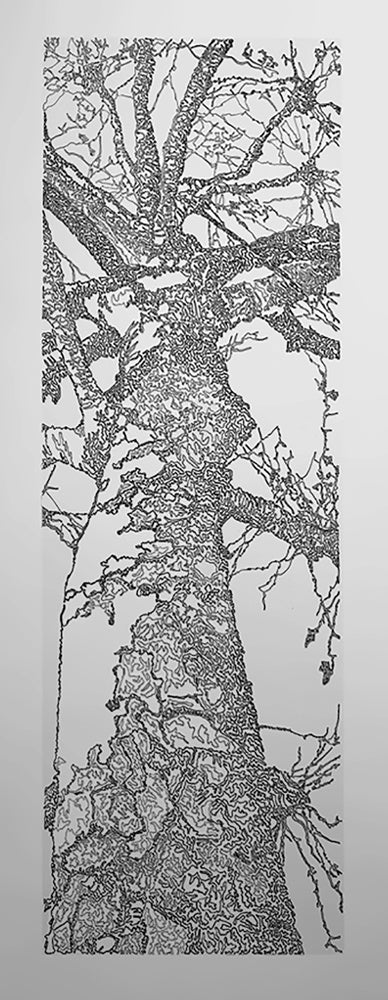 Forest for the Trees 1/5