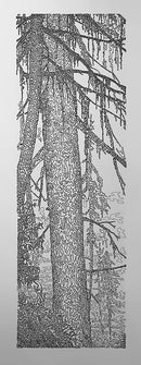 Forest for the Trees 2/5-1
