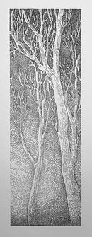 Forest for the Trees 3/5-1