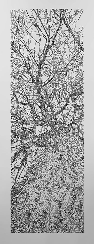 Forest for the Trees 4/5